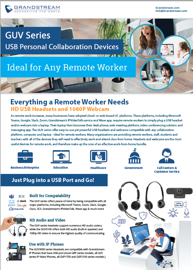 GUV Remote Worker Flyer