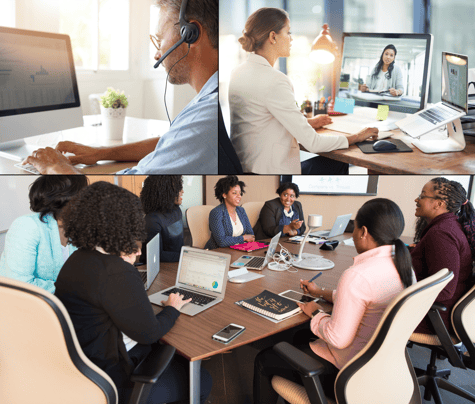 office_ecosystem