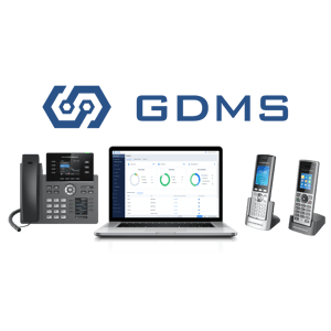 GDMS_front
