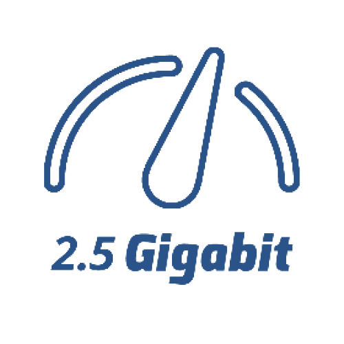 2.5 Gigabit-1