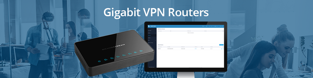 Gigabit VPN Routers
