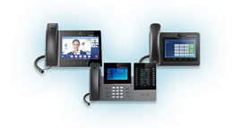 IP Video Telephony