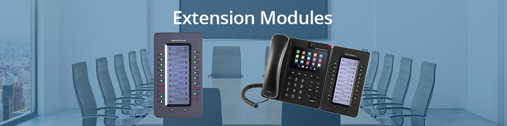 IP Telephony-Extension Modules